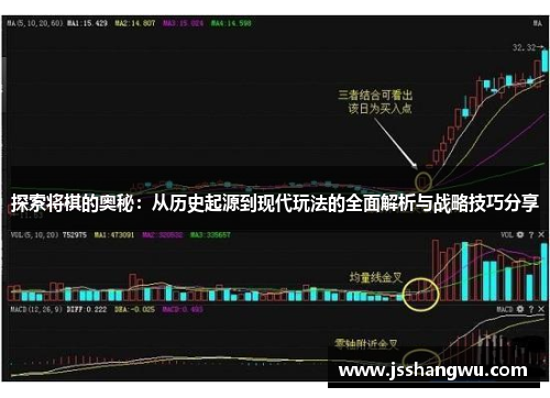 探索将棋的奥秘：从历史起源到现代玩法的全面解析与战略技巧分享
