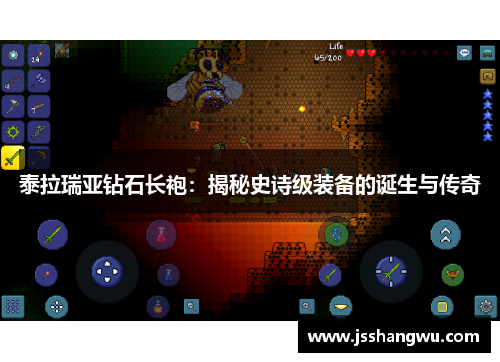 泰拉瑞亚钻石长袍：揭秘史诗级装备的诞生与传奇
